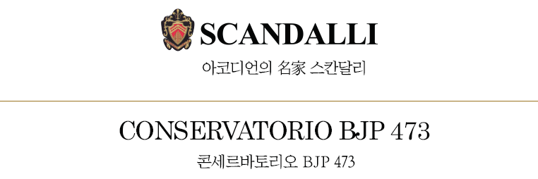 콘세르바토리오 BJP 475 이미지