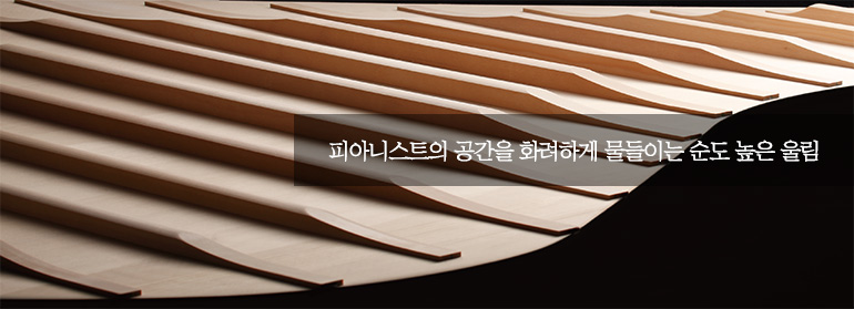 그림 : 피아니스트의 공간을 화려하게 물들이는 순도 높은 울림